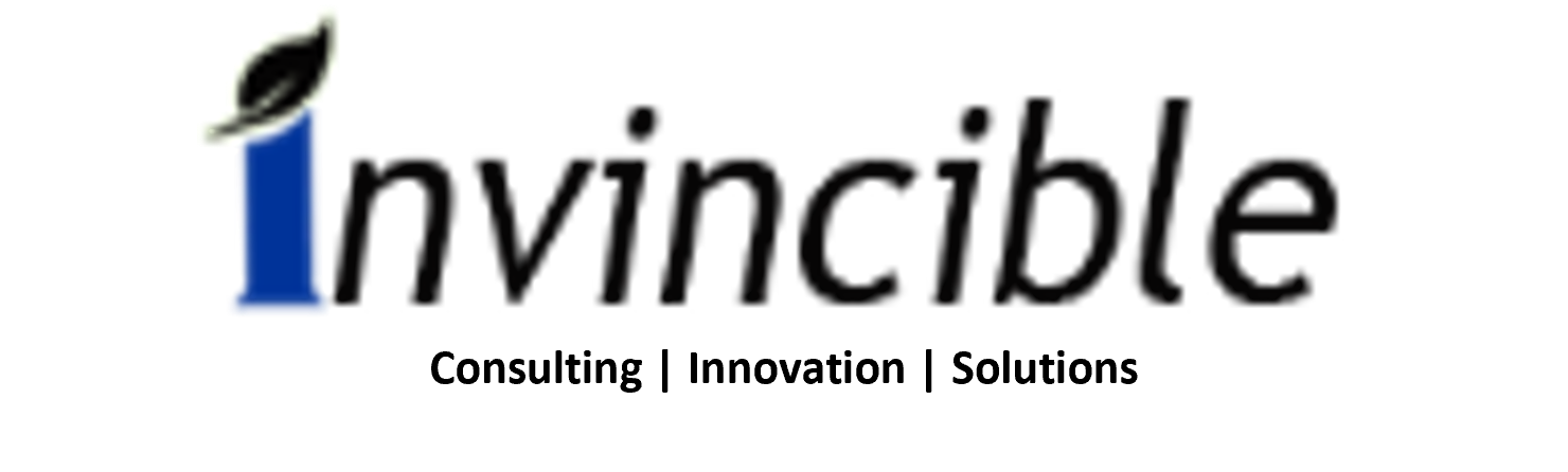 Invincible Business Solutions Private Limited logo