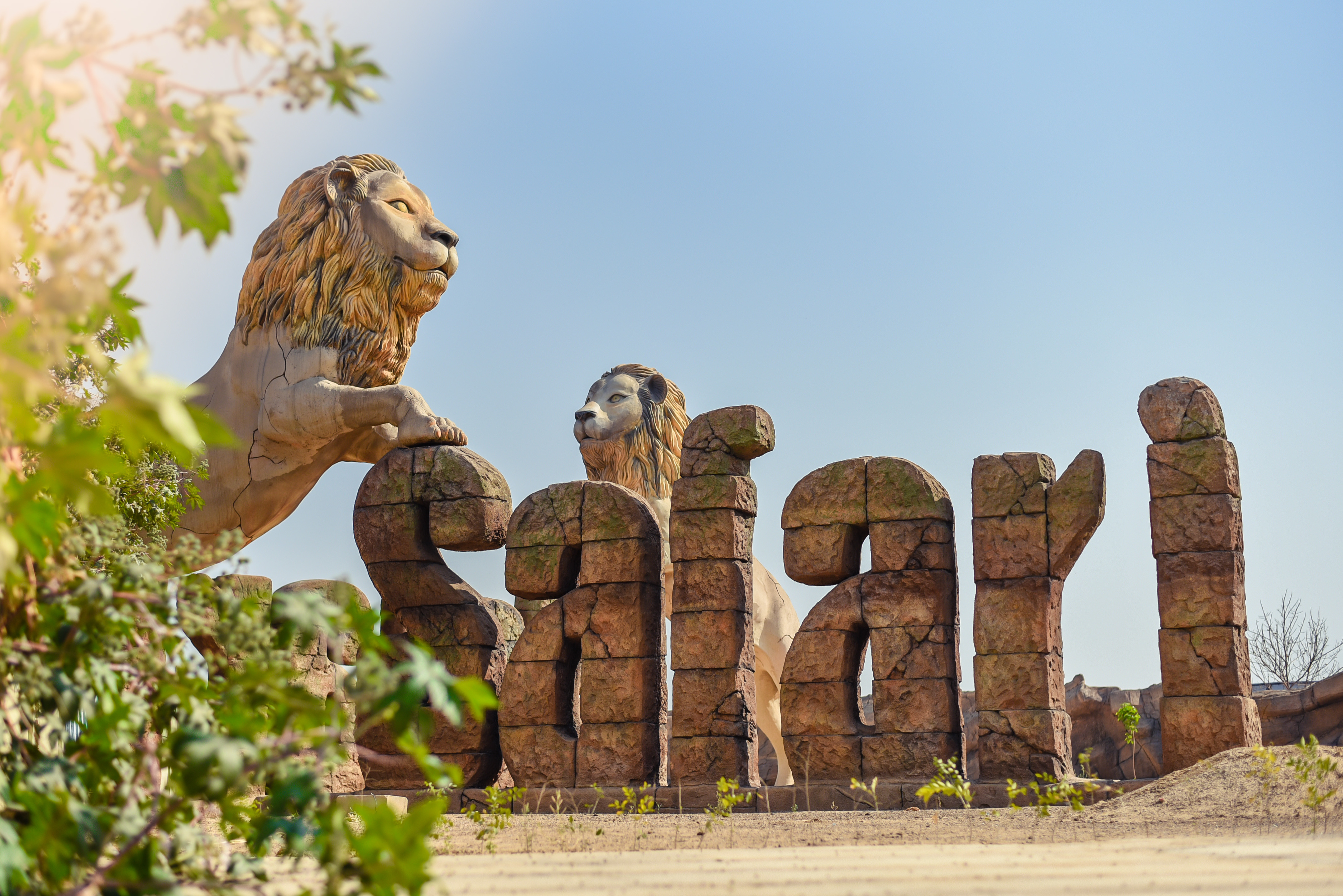 Etawah Lion Safari Park project photograph